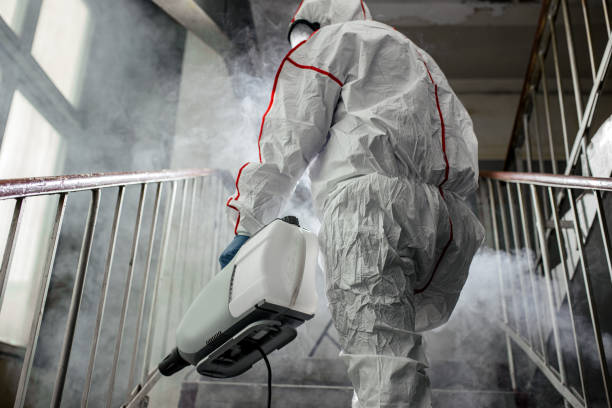 Best Mold Remediation for Vacation Homes  in Fowler, MI